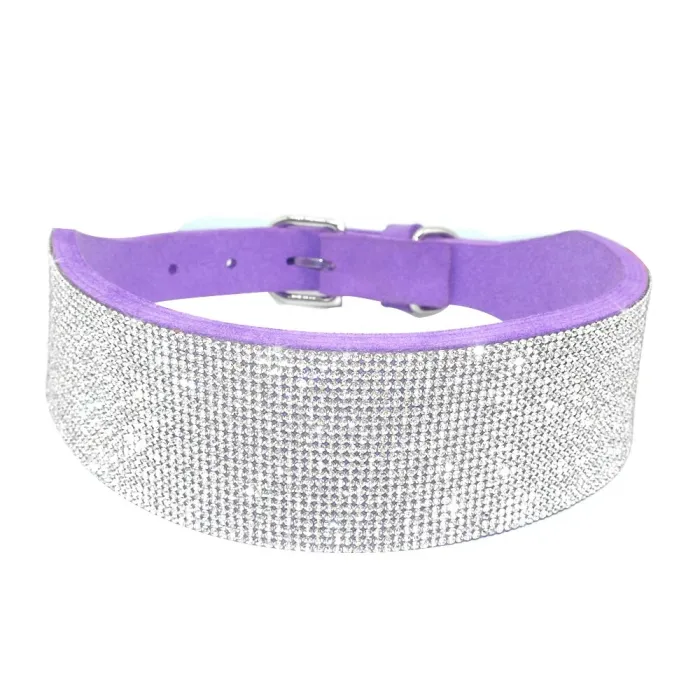 Leather collar with rhinestones for dogs and catsCollars & Leads