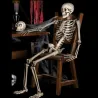Full life size human skeleton - movable - Halloween decoration - 40cmHalloween & Party
