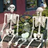 Full life size human skeleton - movable - Halloween decoration - 40cmHalloween & Party