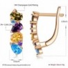 Elegant stud earrings - with colourful crystalsEarrings