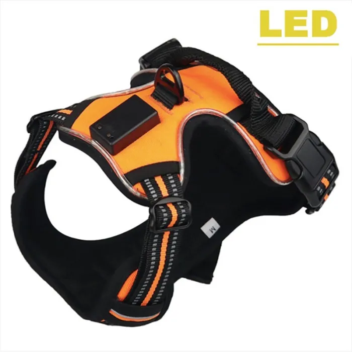 Dog's harness - with LED - adjustable - reflective - waterproofCollars & Leads