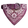 Adjustable collar with scarf - for dogs / cats / petsAnimals & Pets