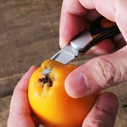 Mini folding pocket knife - with keychain - stainless steelKnives & Multitools