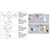 Modern wall lamp - LED - RGB remote - S - W - line shapeWall lights