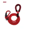 Nylon dog leash - adjustable collar - reflective - padded handleCollars & Leads