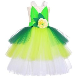 Fairy costume - green dress - with wingsCostumes