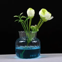 Transparent glass vaseInterior