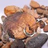 Moon shaped pendant with crushed minerals - gold necklaceNecklaces