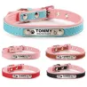 Dogs / cats collar - ID Tag - personalized - engraved - leatherCollar & Leads
