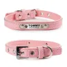 Dogs / cats collar - ID Tag - personalized - engraved - leatherCollar & Leads