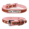 Dogs / cats collar - ID Tag - personalized - engraved - leatherCollar & Leads