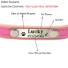 Dogs / cats collar - ID Tag - personalized - engraved - leatherCollar & Leads
