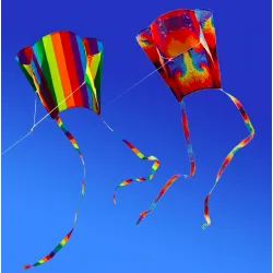 Outdoor colorful kiteKites