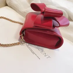 Small elegant bag with bow & chainBags